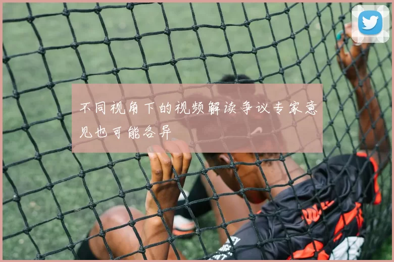 不同视角下的视频解读争议专家意见也可能各异